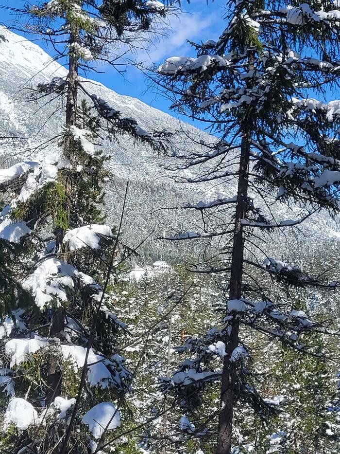 Bilder Yoga Resort AlpenRetreat