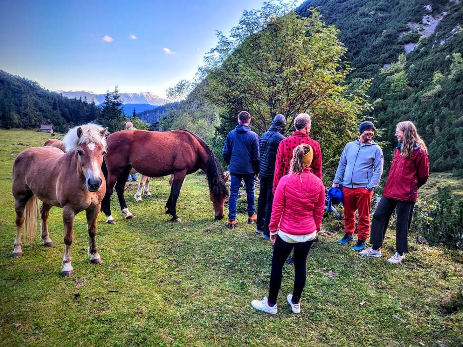 Bilder Yoga Resort AlpenRetreat