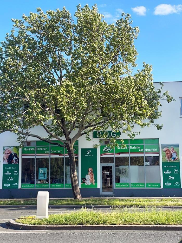 Bilder LOYS Filiale Perfektastrasse