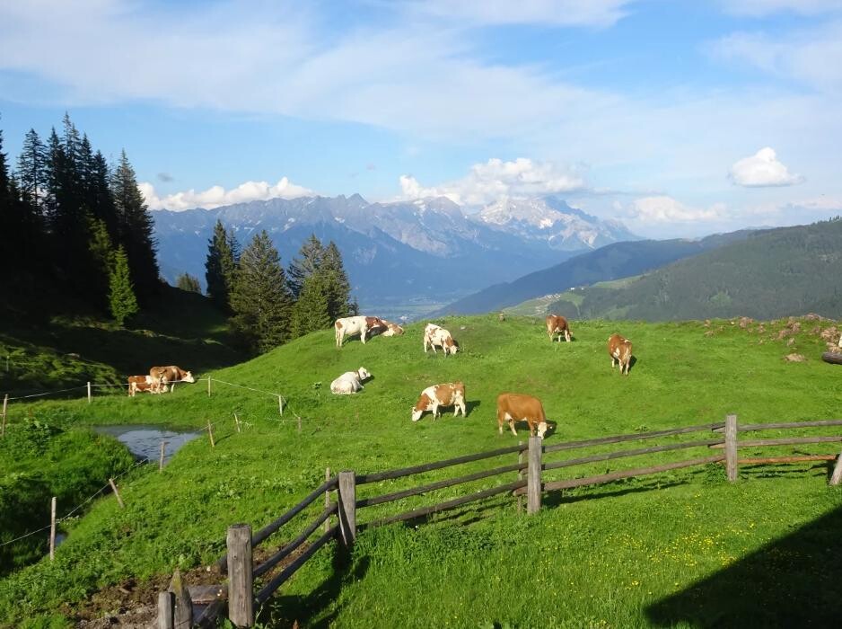Bilder Erbhof Hinterrain Leogang