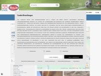 Website Screenshot Hervis Oberwart