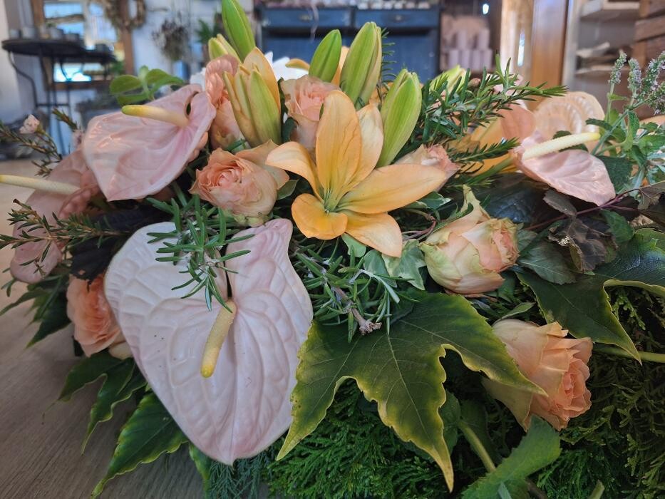 Bilder Gänseblümchen e.U.