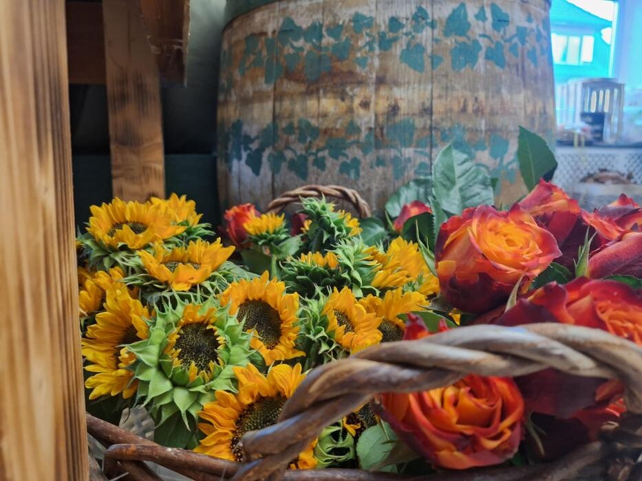 Bilder Gänseblümchen e.U.