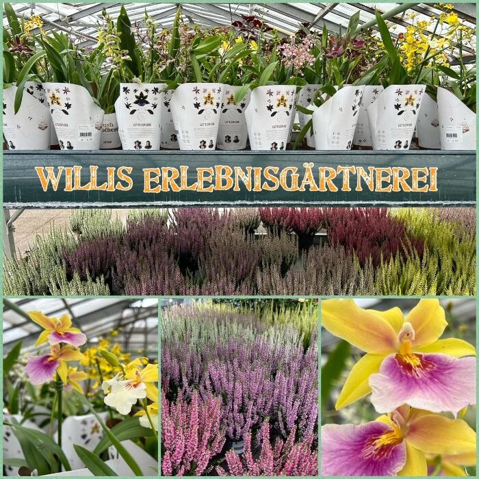 Bilder Willis Erlebnisgärtnerei