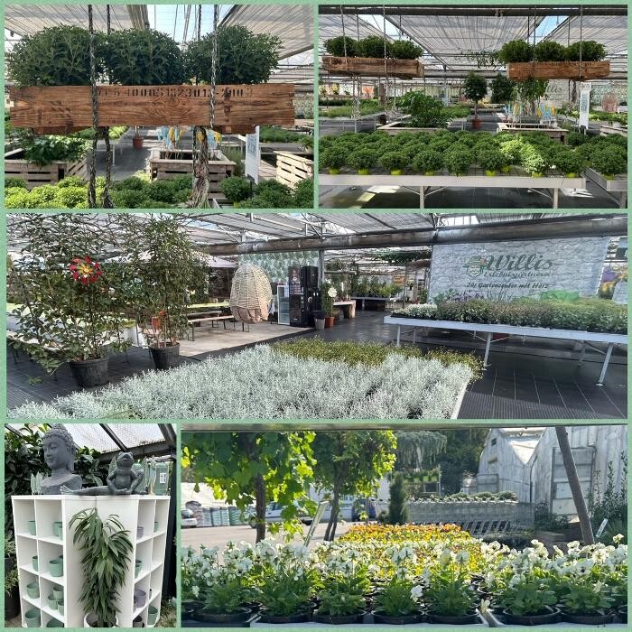 Bilder Willis Erlebnisgärtnerei