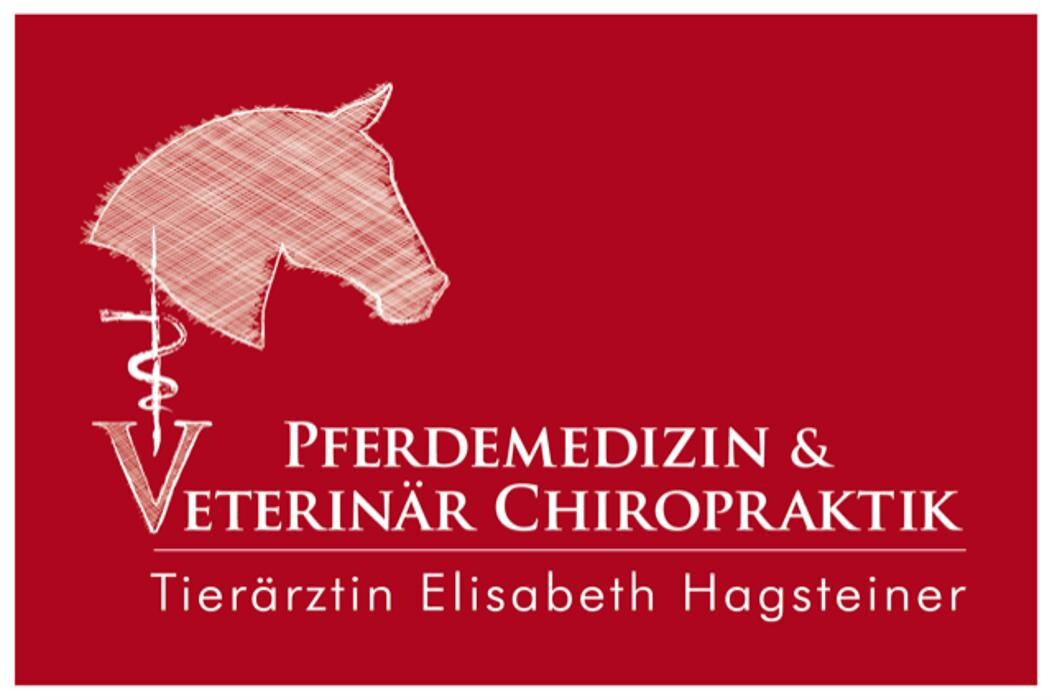 Pferdetierarzt Elisabeth Hagsteiner - Kirchdorf in Tirol Logo