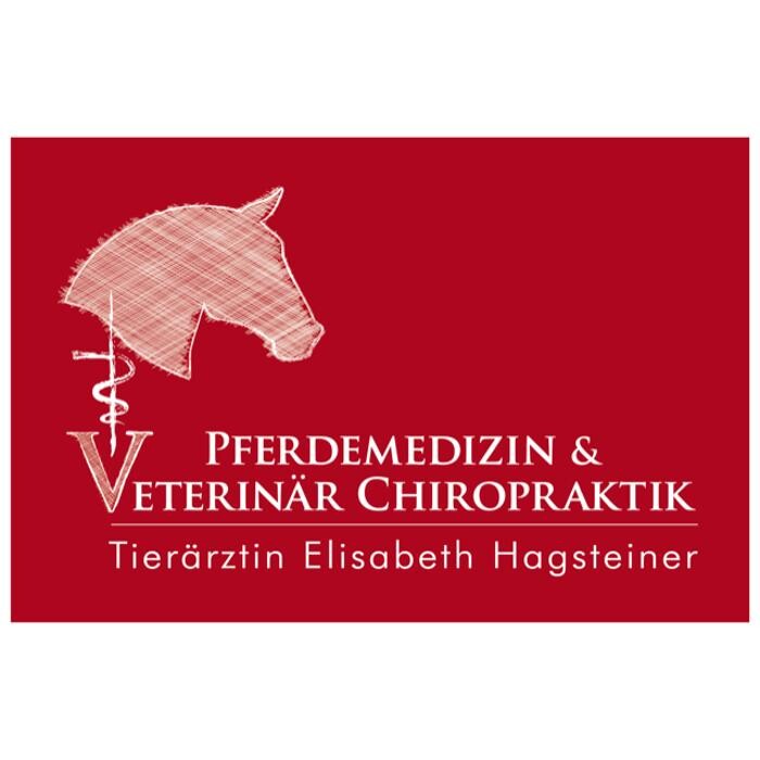 Bilder Pferdetierarzt Elisabeth Hagsteiner - Kirchdorf in Tirol