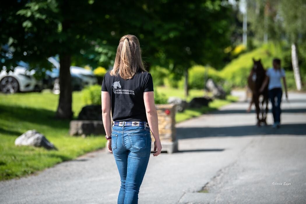Bilder Pferdetierarzt Elisabeth Hagsteiner - Kirchdorf in Tirol