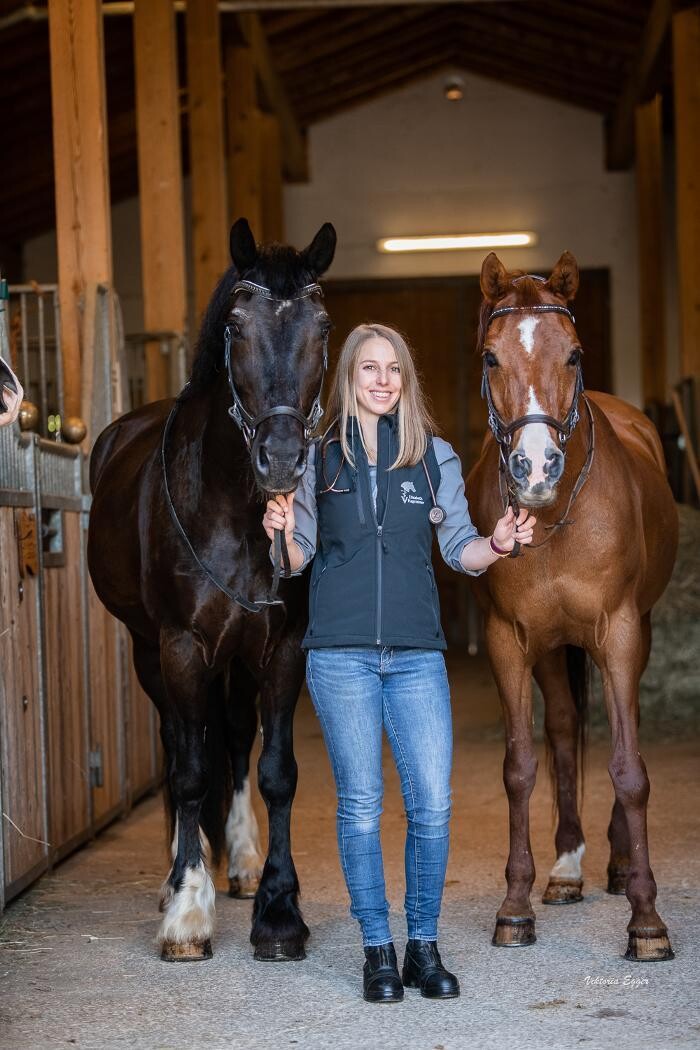 Bilder Pferdetierarzt Elisabeth Hagsteiner - Kirchdorf in Tirol