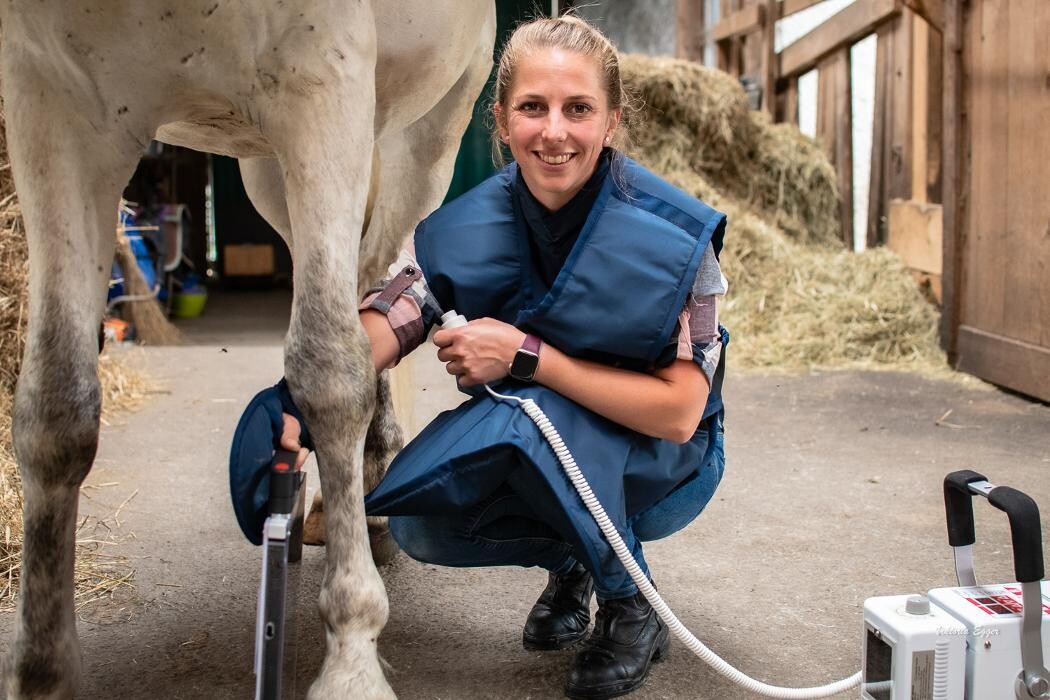 Bilder Pferdetierarzt Elisabeth Hagsteiner - Kirchdorf in Tirol