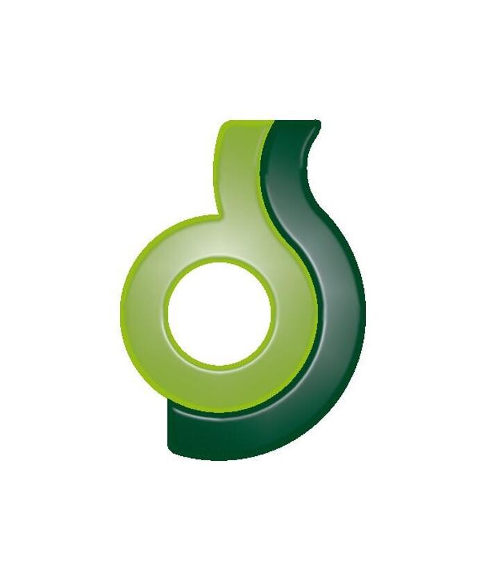 Druckerei Staffner GmbH - St. Johann in Tirol Logo