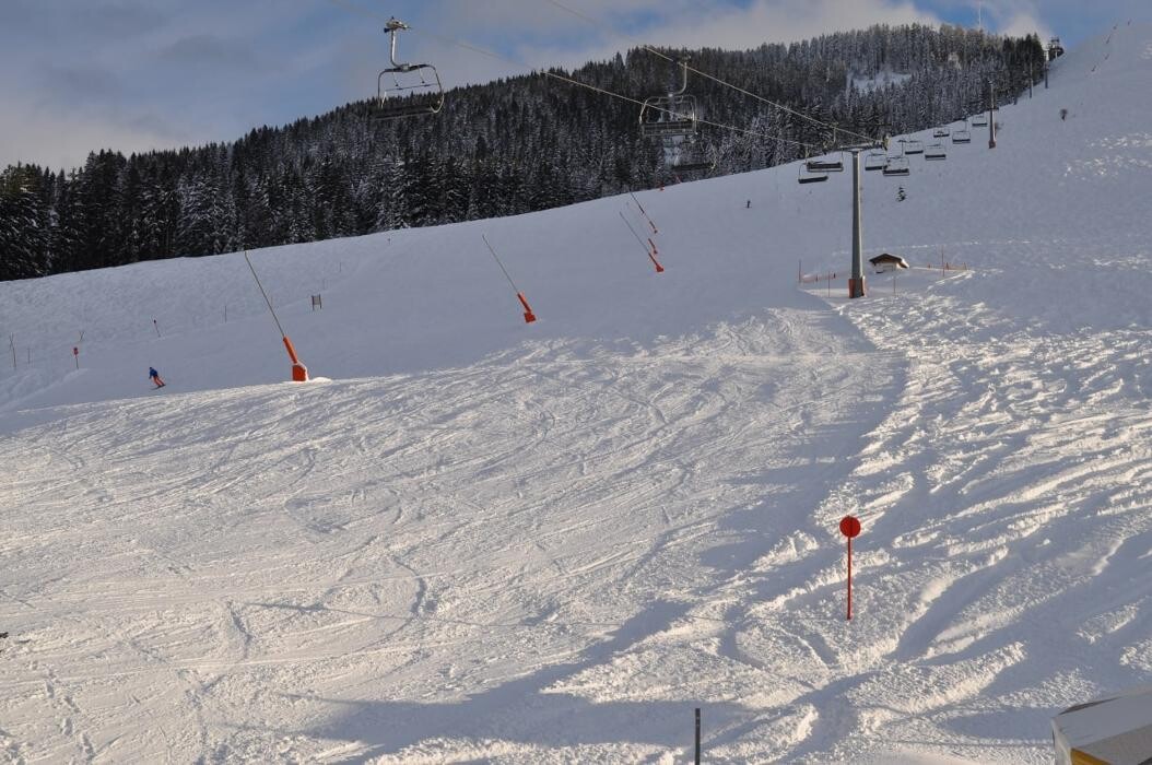 Bilder Müllneralm Oberndorf - Ihr Alm-Hotel