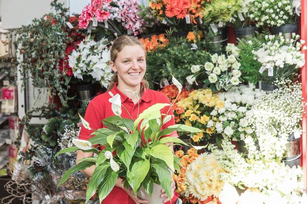 Bilder Niederer Baumarkt