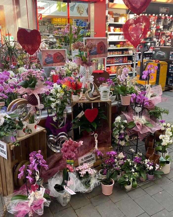 Bilder Niederer Baumarkt