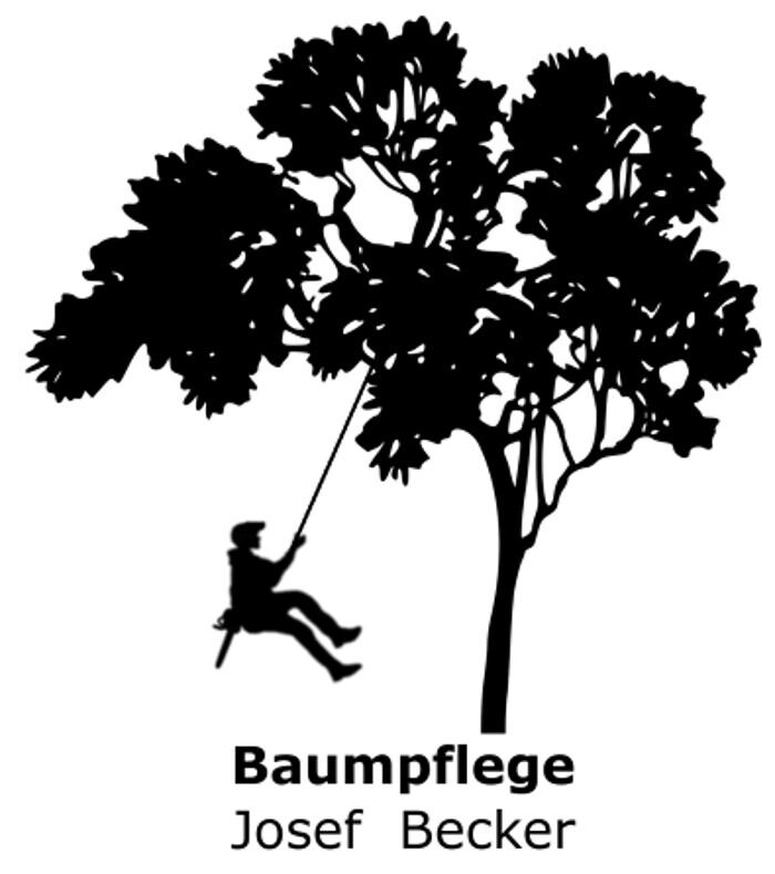 Bilder Baumpflege und Problemfällungen Josef Becker