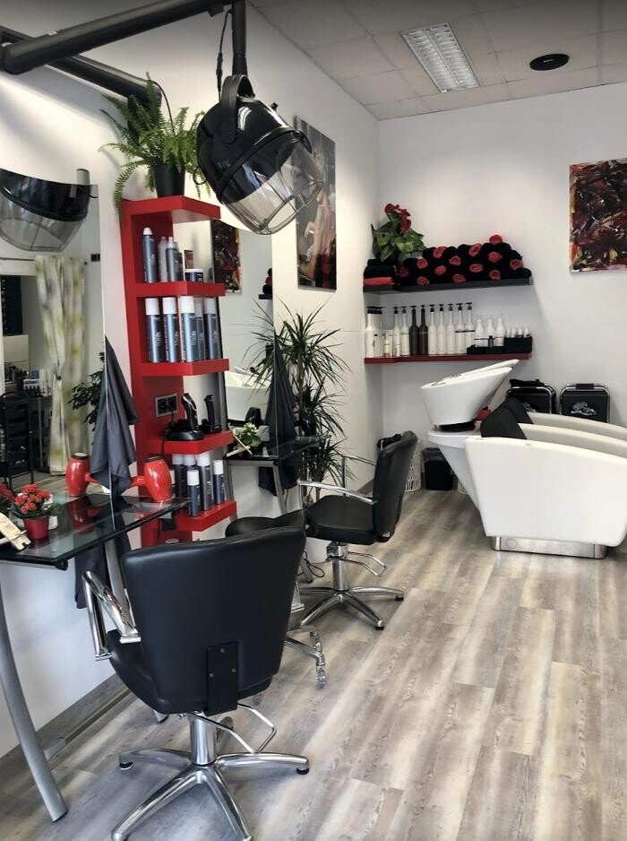 Bilder HAIR - schau`n