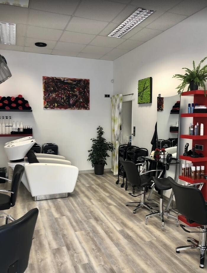 Bilder HAIR - schau`n