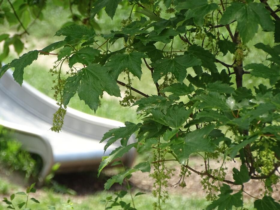 Bilder Psychologische Diagnostik