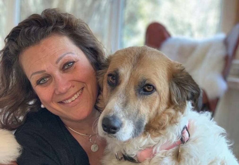 Bilder Ferienhäuser Gerhart GmbH