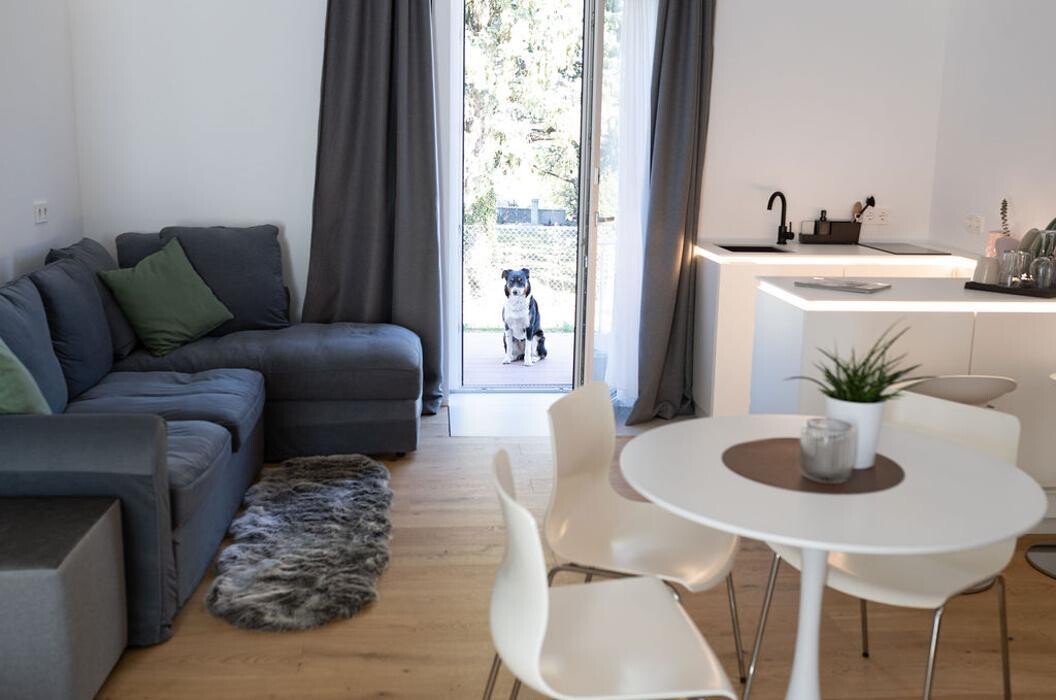 Bilder geislerAPPARTMENTS