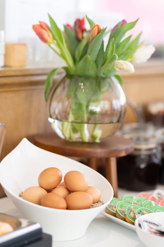 Bilder geislerAPPARTMENTS