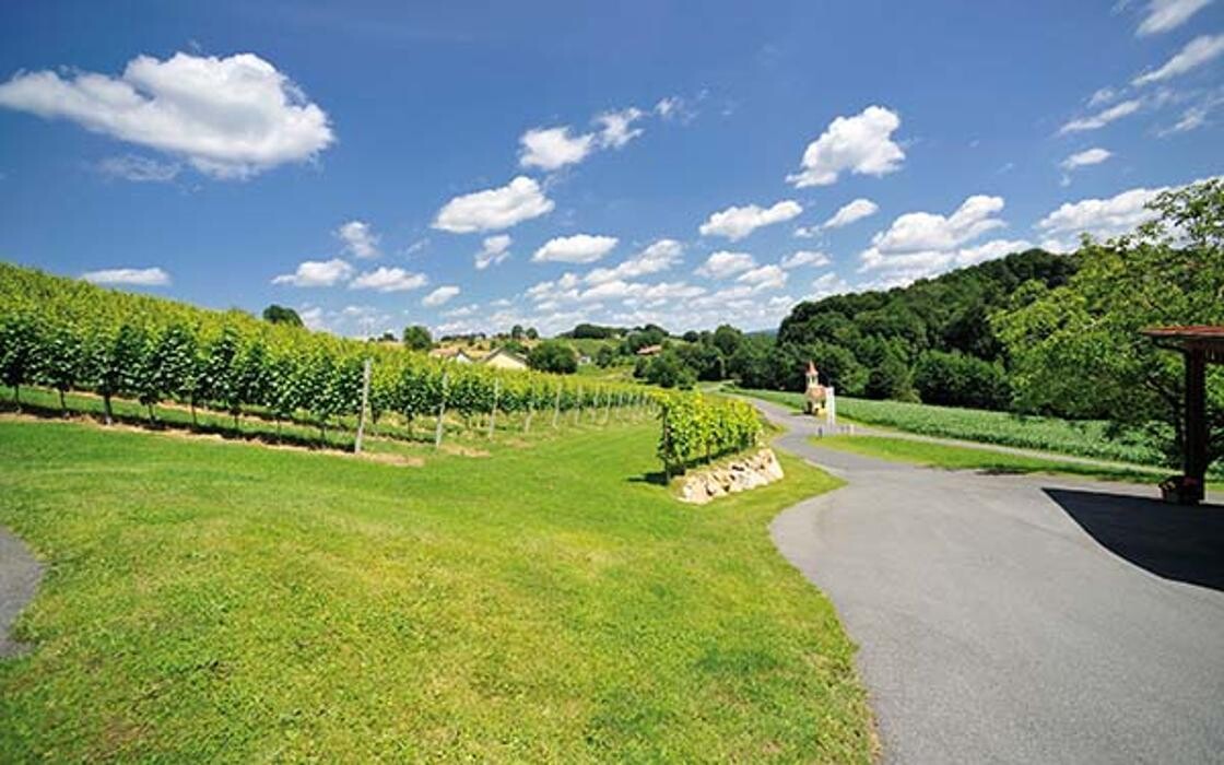 Bilder Weinhof Rossmann GbR