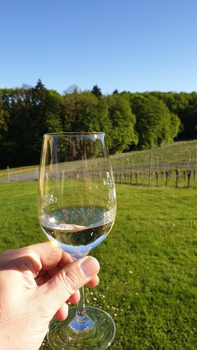Bilder Weinhof Rossmann GbR