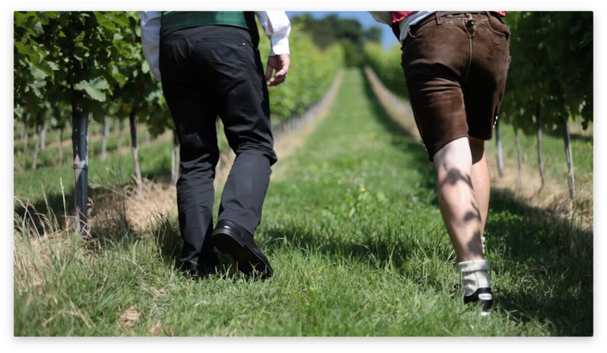 Bilder Weinhof Rossmann GbR