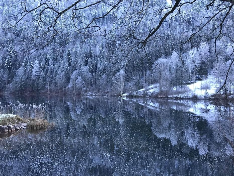 Bilder Chalets Lunz am See