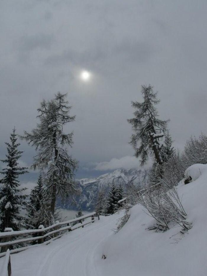 Bilder Naturfreunde-Hütte