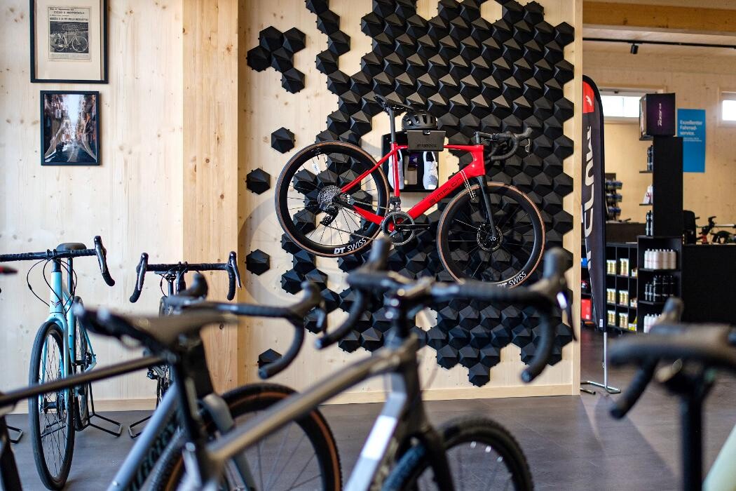 Bilder Radgut Bikestore + Werkstatt