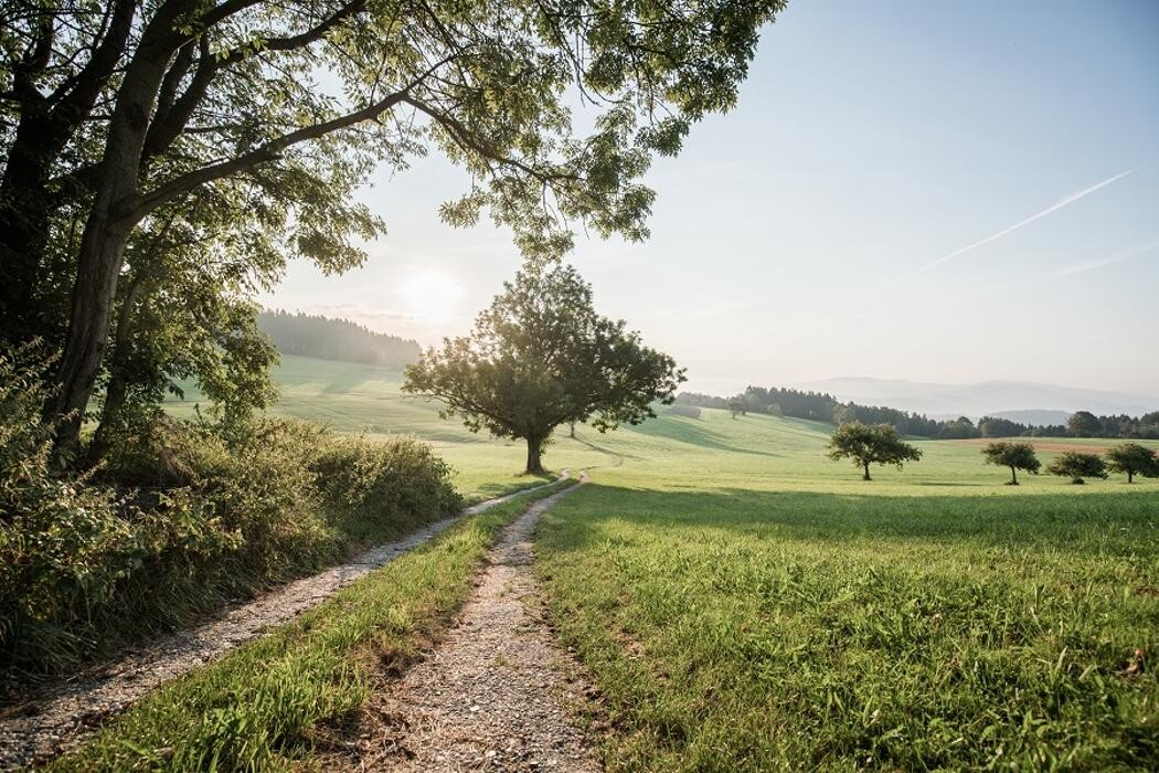 Bilder Wanderreithof Heimelsteiner