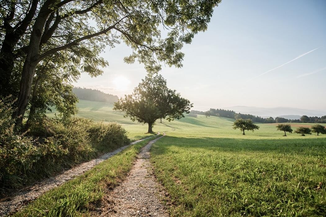 Bilder Wanderreithof Heimelsteiner