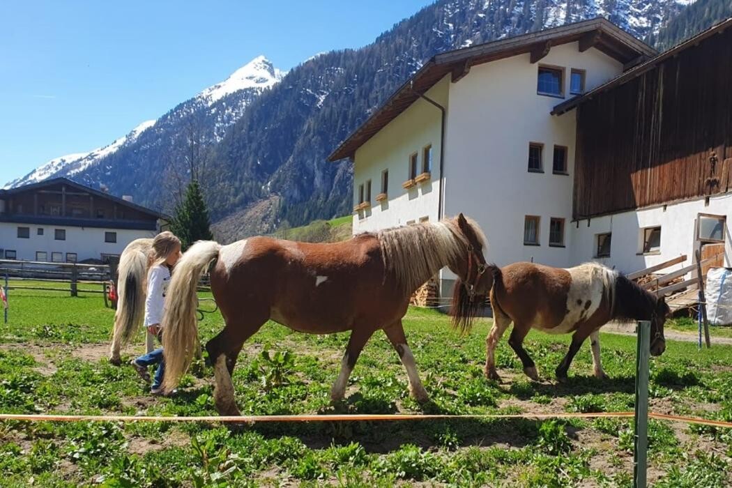 Bilder Haus Karlspitze