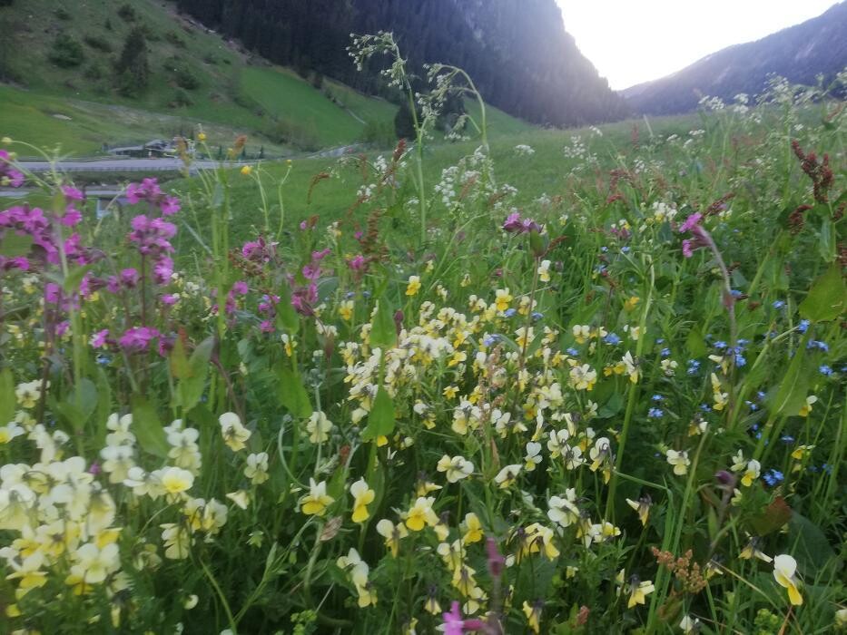 Bilder Haus Karlspitze