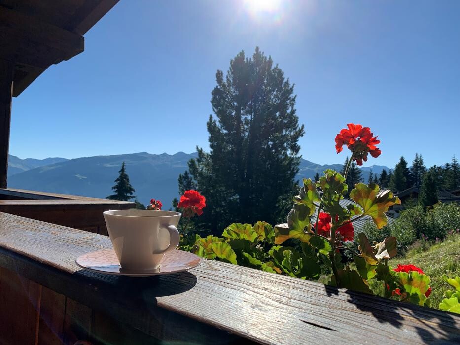 Bilder Alpin-Ferienwohnungen Hochzillertal