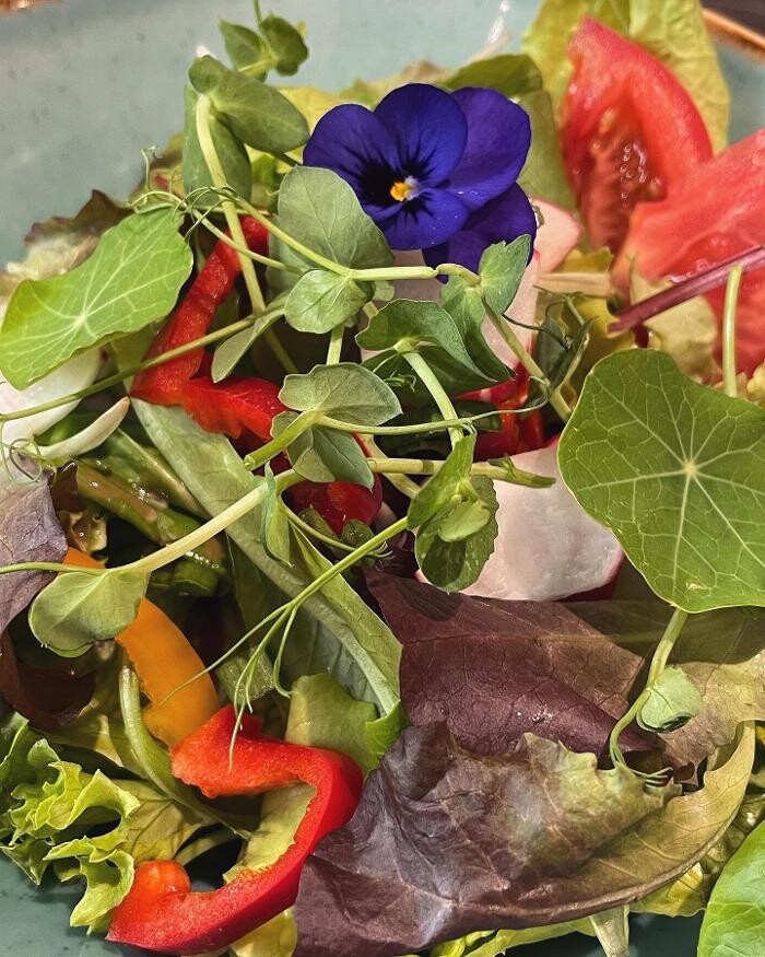 Bilder La Noi Gastro