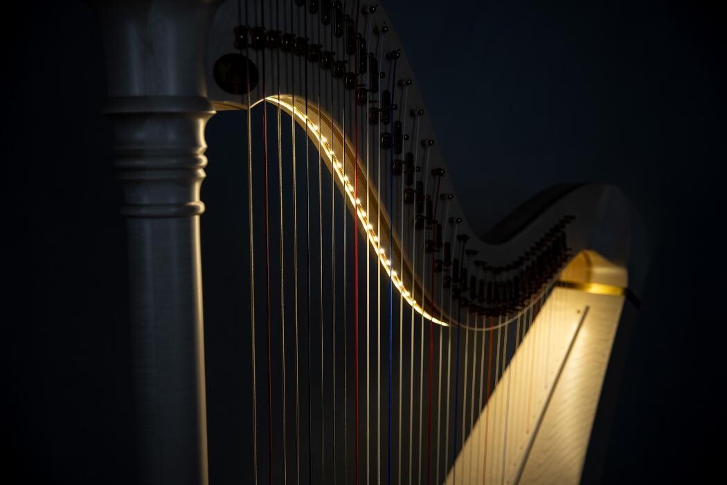 Bilder Mürnseer Musikinstrumentenbau