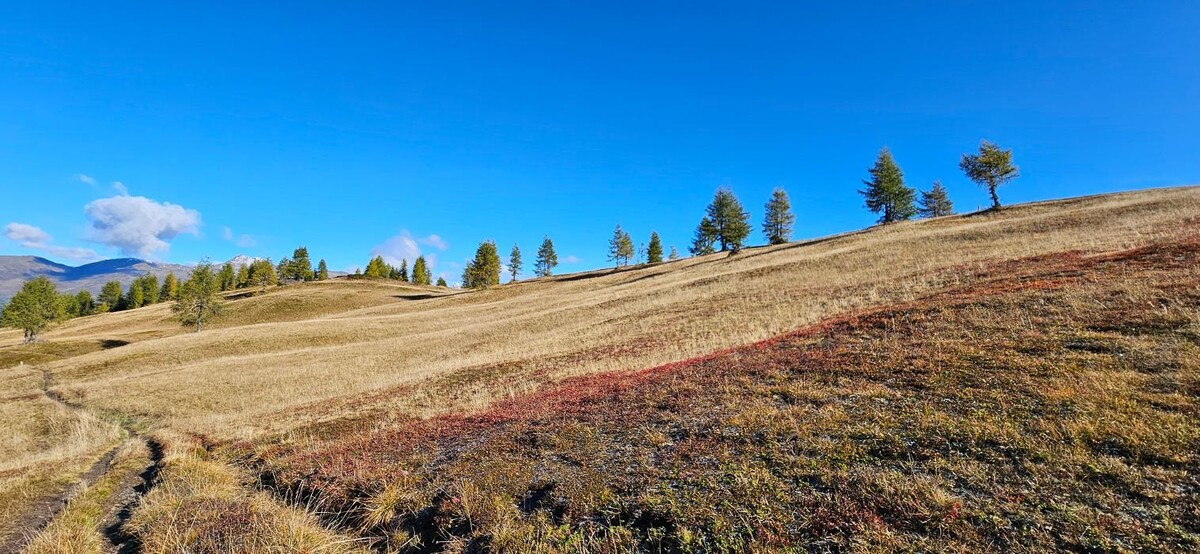 Bilder Haus Enzian - Apartments