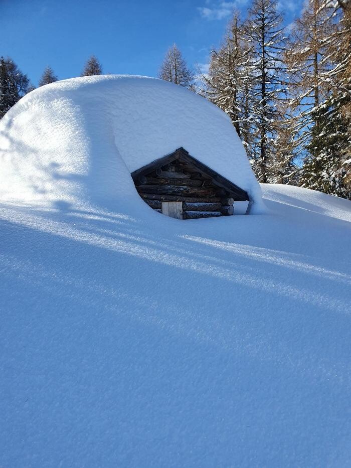 Bilder Haus Enzian - Apartments