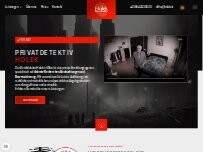Website Screenshot Detektivbüro Holek