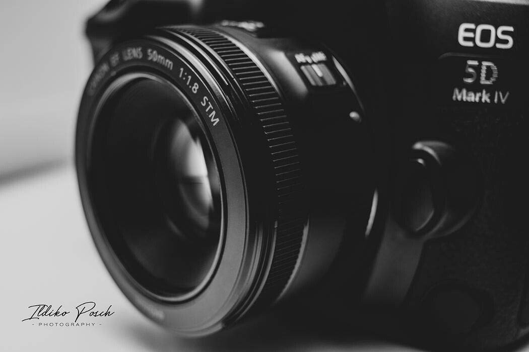 Bilder Ildiko Posch Photography
