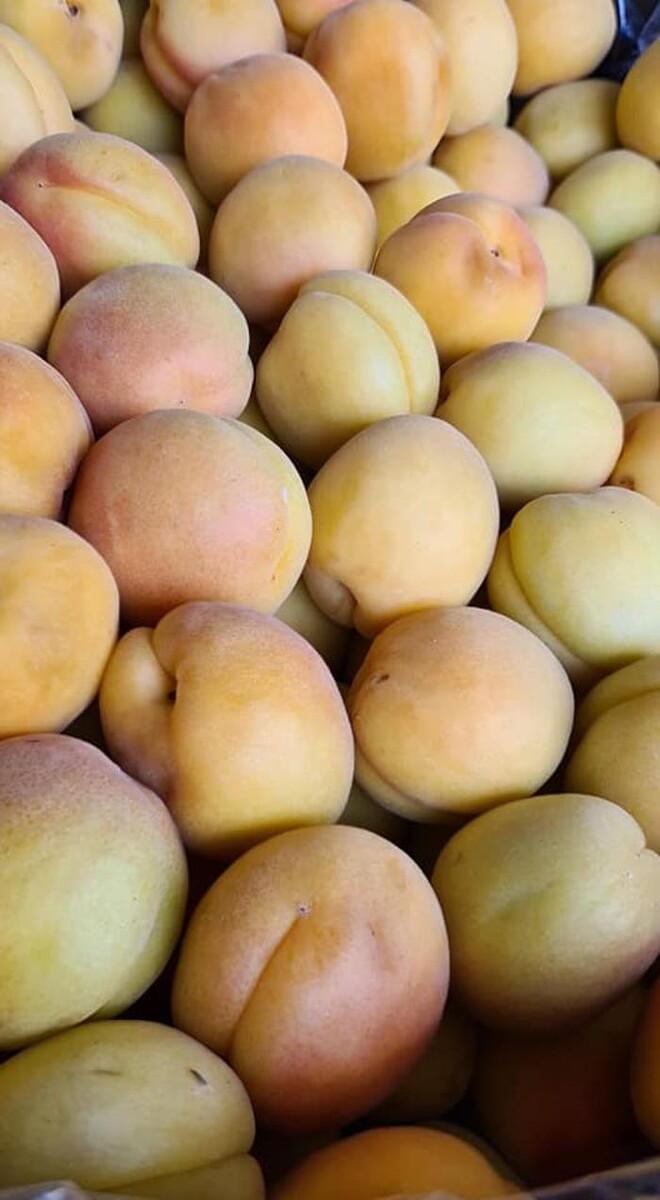 Bilder Onay Supermarkt