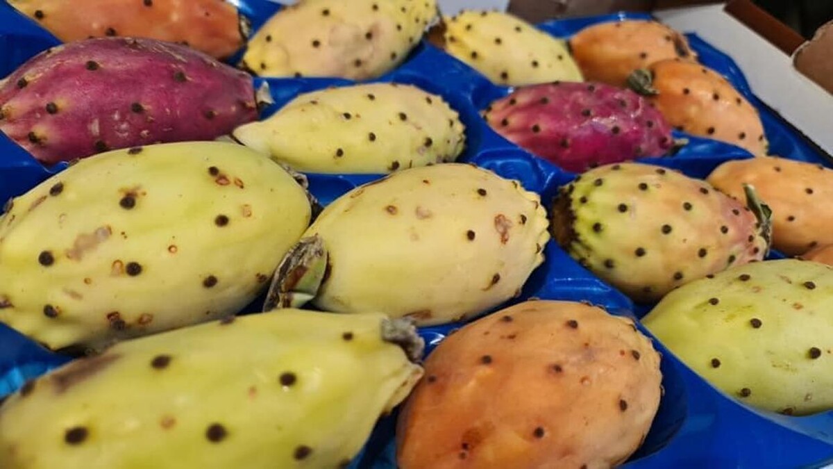 Bilder Onay Supermarkt