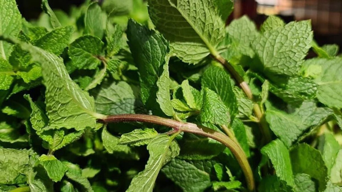 Bilder Onay Supermarkt