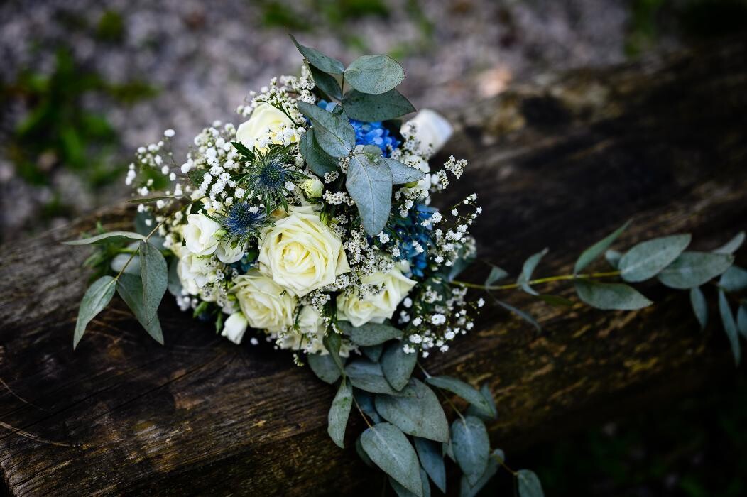 Bilder René Lüth Fotografie