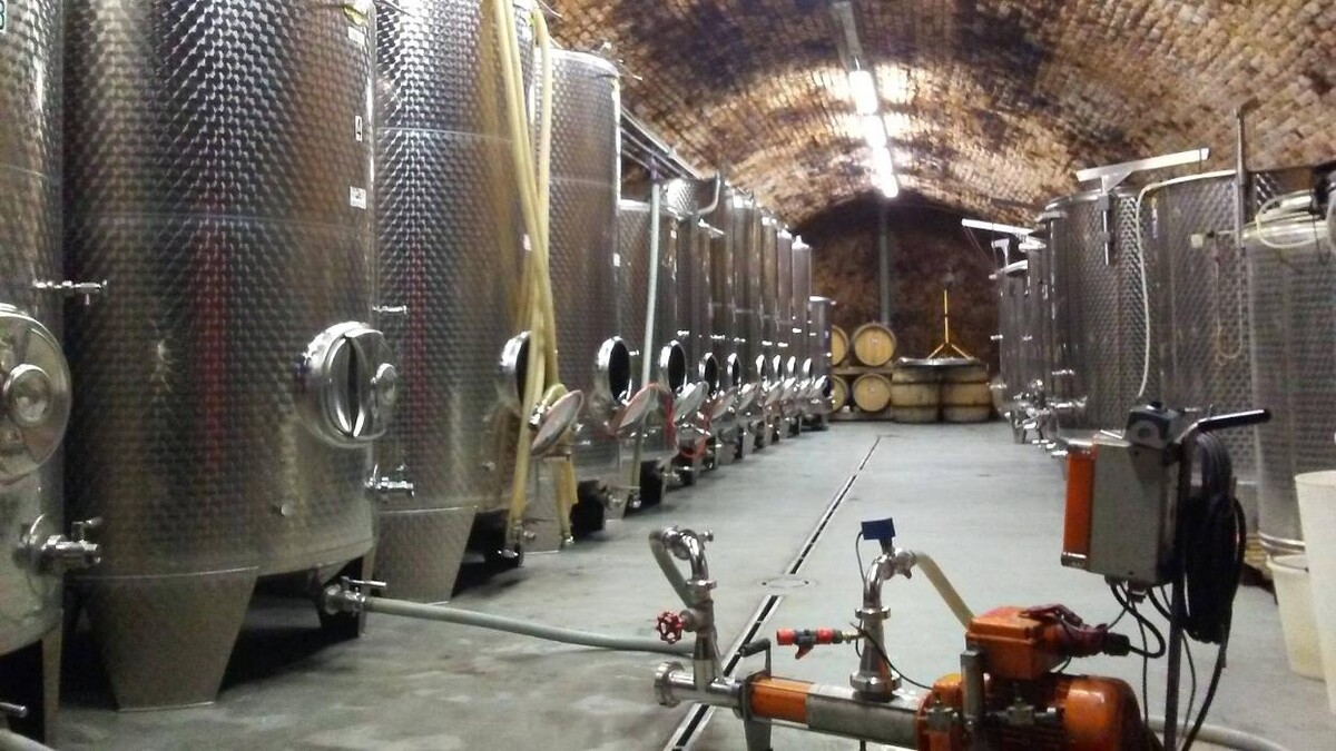 Bilder Bioweingut Schmidl