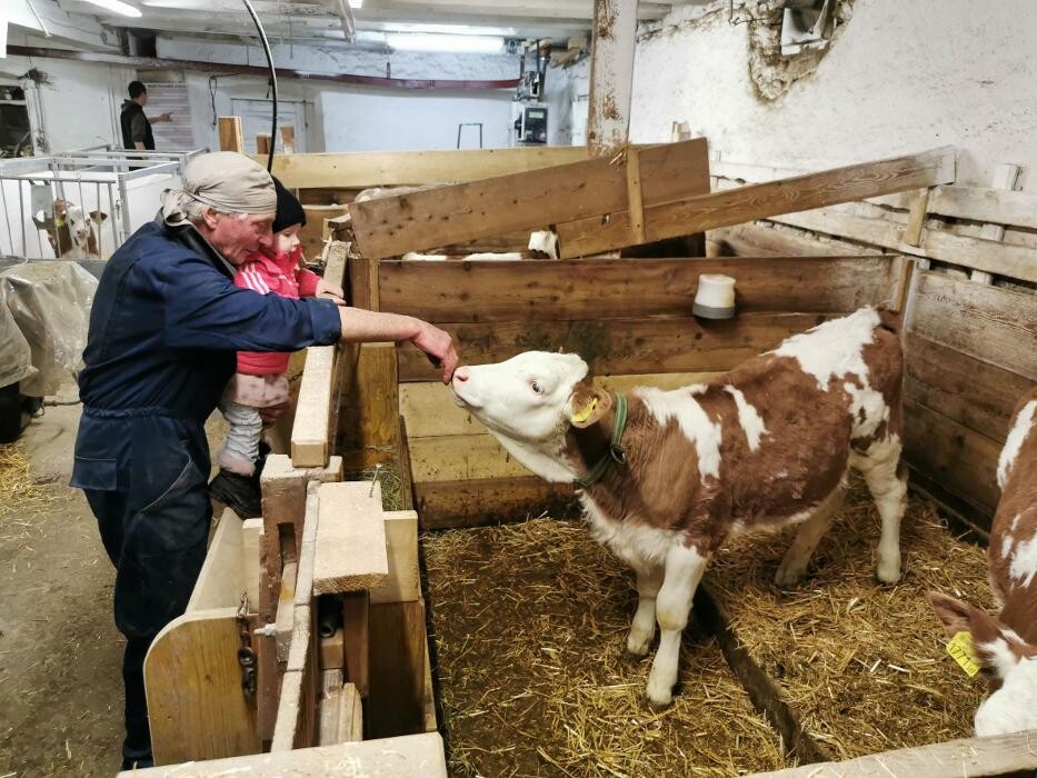 Bilder Landhaus Taurer