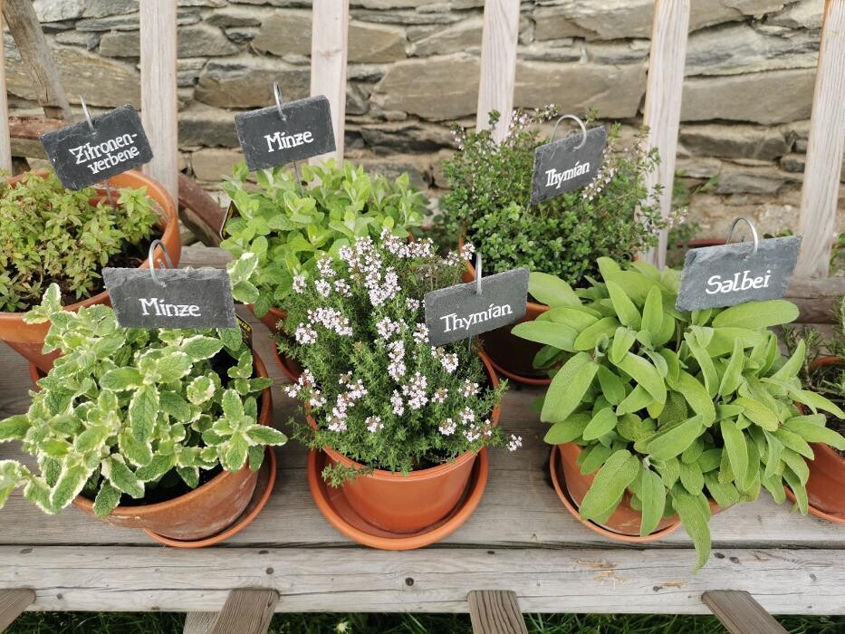 Bilder Landhaus Taurer