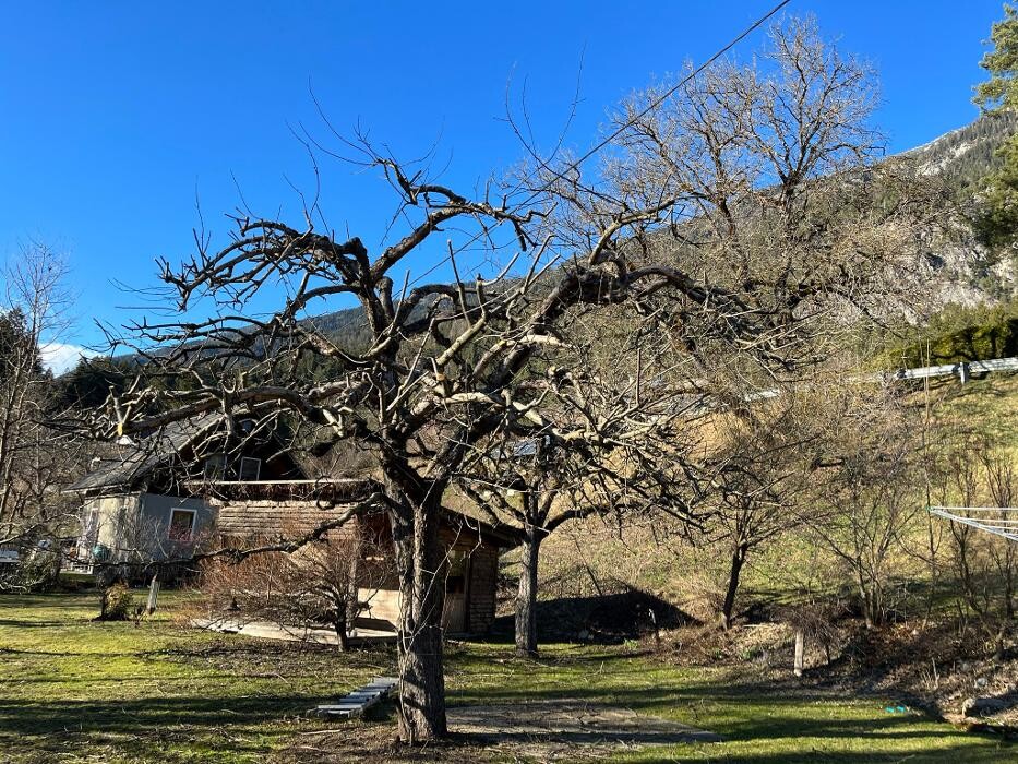 Bilder Hausmeisterservice Muigg Andreas